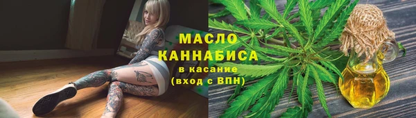 spice Богородицк