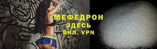 spice Богородицк