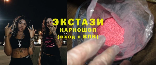 spice Богородицк