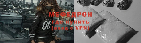 spice Богородицк
