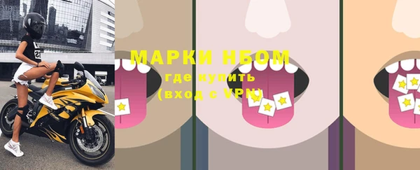 spice Богородицк