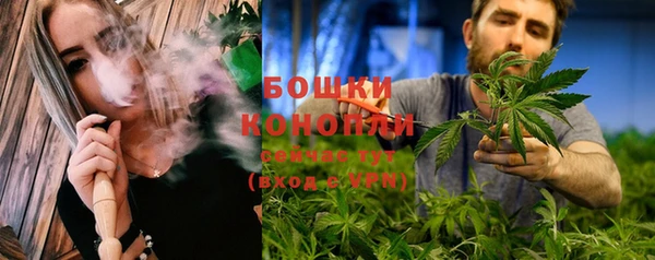 spice Богородицк
