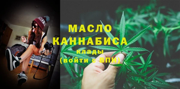 spice Богородицк