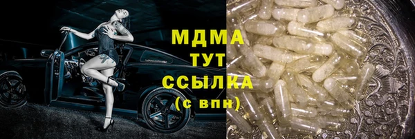 spice Богородицк