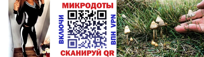Псилоцибиновые грибы Cubensis  Светогорск 